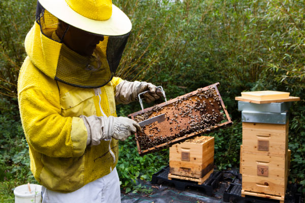 2030 Sustainability Strategy